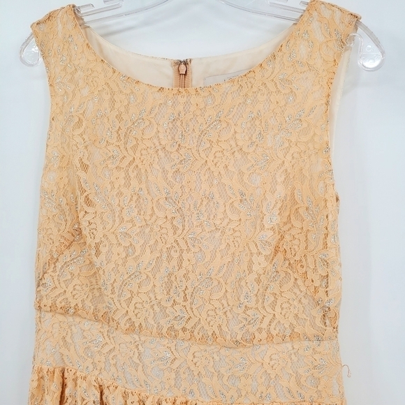 Loft Peach and Silver Metallic Pleated Lace Dress - Picture 2 of 9